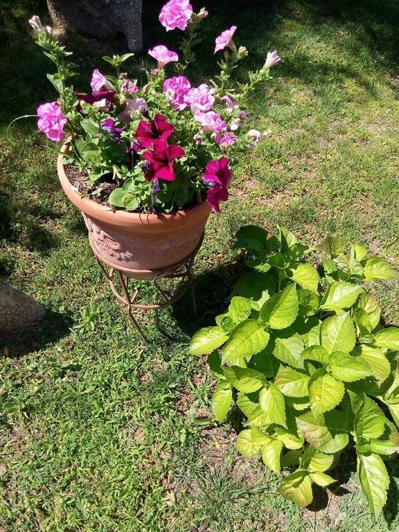 Bed & Breakfast Li Paduli Alvi Cannigione